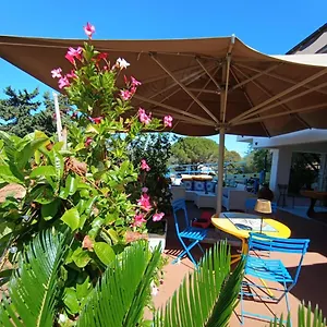 book here